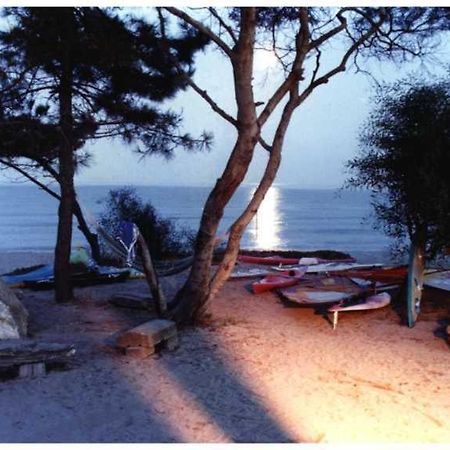 Domaine De L'Avidanella Daire Santa-Lucia-di-Moriani Dış mekan fotoğraf