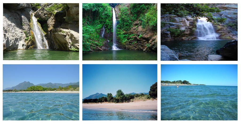 Domaine De L'Avidanella Daire Santa-Lucia-di-Moriani Dış mekan fotoğraf