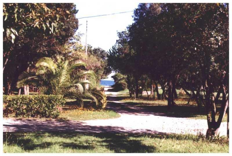 Domaine De L'Avidanella Daire Santa-Lucia-di-Moriani Dış mekan fotoğraf