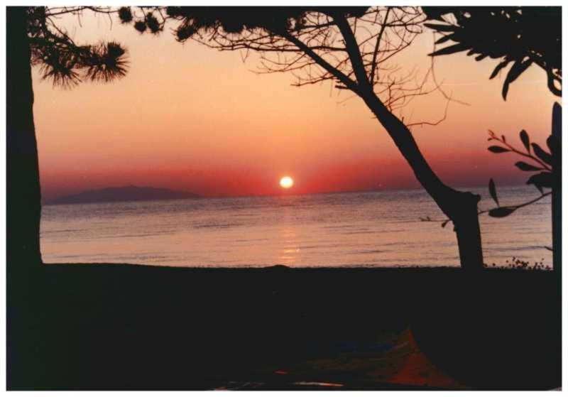 Domaine De L'Avidanella Daire Santa-Lucia-di-Moriani Dış mekan fotoğraf