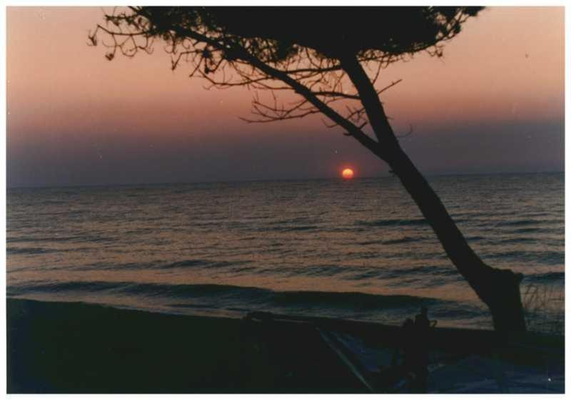 Domaine De L'Avidanella Daire Santa-Lucia-di-Moriani Dış mekan fotoğraf