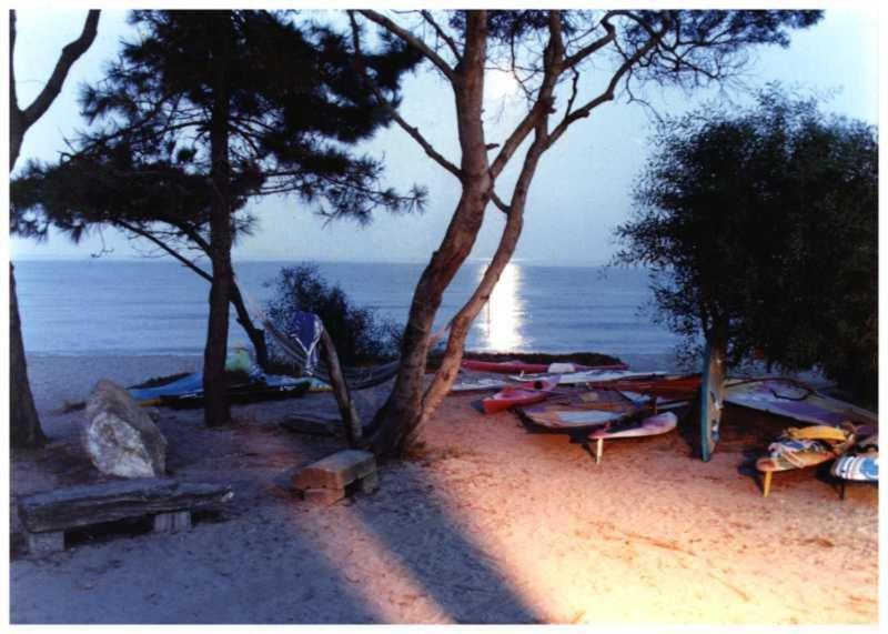 Domaine De L'Avidanella Daire Santa-Lucia-di-Moriani Dış mekan fotoğraf