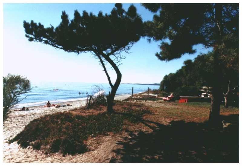 Domaine De L'Avidanella Daire Santa-Lucia-di-Moriani Dış mekan fotoğraf