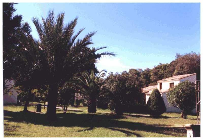 Domaine De L'Avidanella Daire Santa-Lucia-di-Moriani Dış mekan fotoğraf