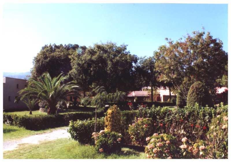 Domaine De L'Avidanella Daire Santa-Lucia-di-Moriani Dış mekan fotoğraf