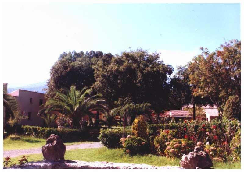 Domaine De L'Avidanella Daire Santa-Lucia-di-Moriani Dış mekan fotoğraf