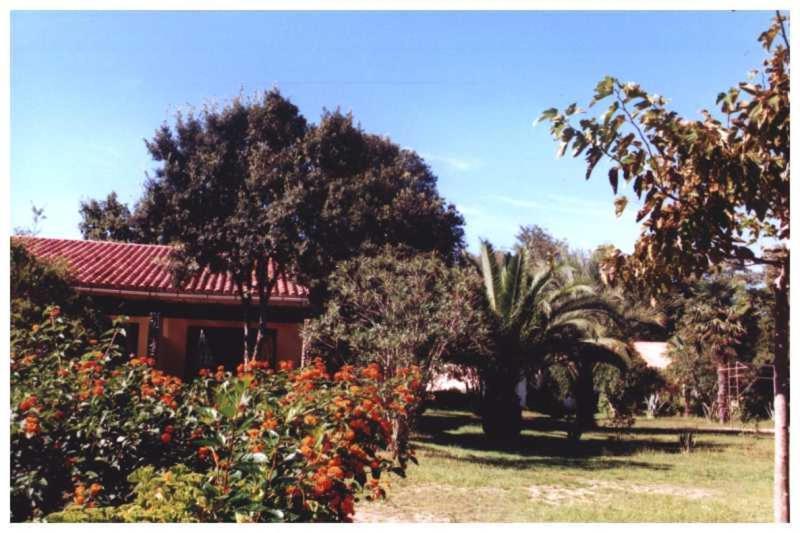 Domaine De L'Avidanella Daire Santa-Lucia-di-Moriani Dış mekan fotoğraf