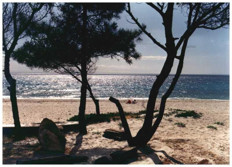 Domaine De L'Avidanella Daire Santa-Lucia-di-Moriani Dış mekan fotoğraf