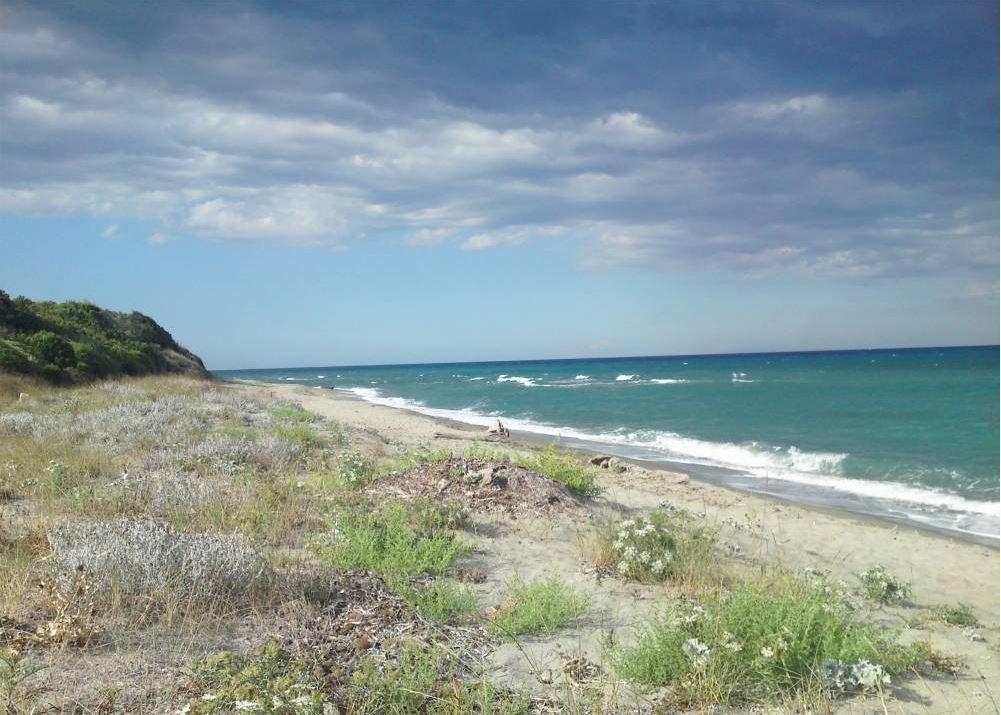 Domaine De L'Avidanella Daire Santa-Lucia-di-Moriani Dış mekan fotoğraf