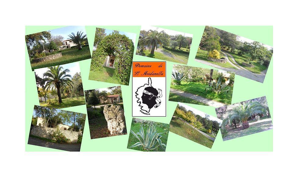 Domaine De L'Avidanella Daire Santa-Lucia-di-Moriani Dış mekan fotoğraf